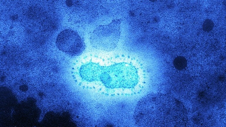 Κορωνοϊός: Το tocilizumab βελτιώνει σημαντικά τα κλινικά αποτελέσματα των ασθενών με πνευμονία