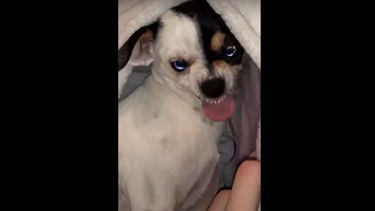 Μην ενοχλείτε!