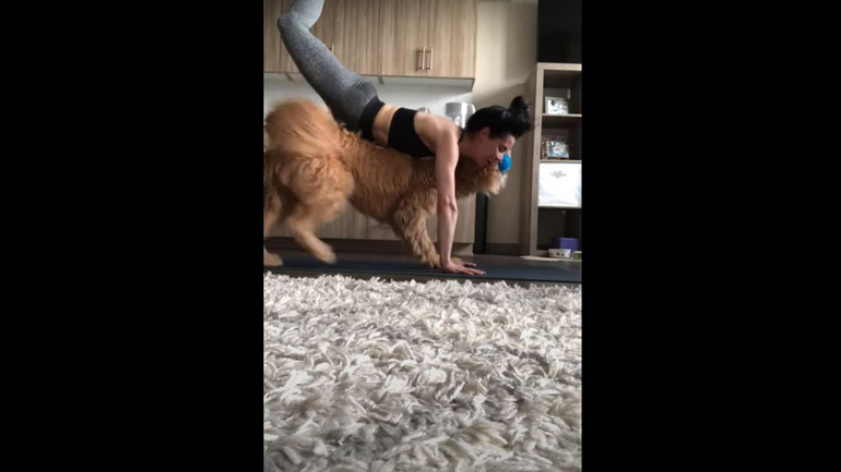 Σκύλος «κάνει» γιόγκα μαζί με το αφεντικό του