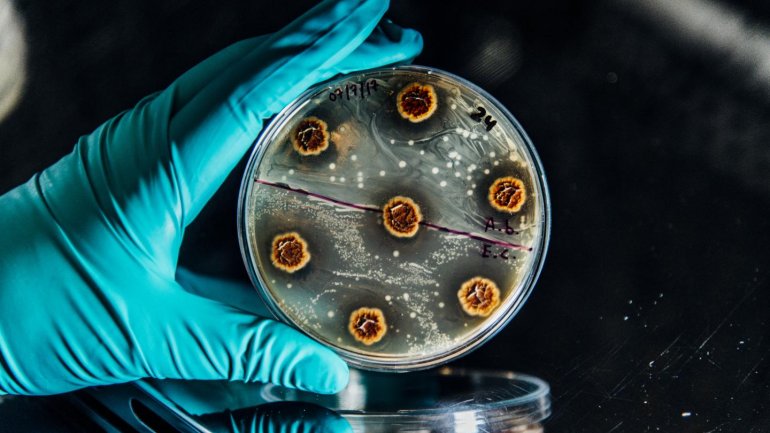 Πώς προκαλούνται τα πολυανθεκτικά βακτήρια