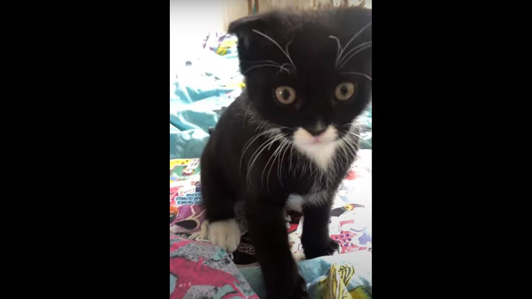 «Δώσε μου λίγη σημασία»