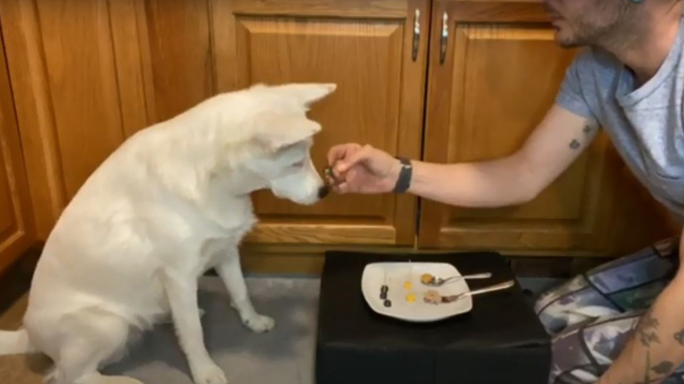 Ταΐζοντας έναν σκύλο με έλλειψη ακοής και όρασης