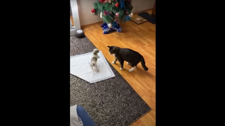 Όταν δεν μπορείς να συμβαδίσεις με τον υπερδραστήριο φίλο σου…