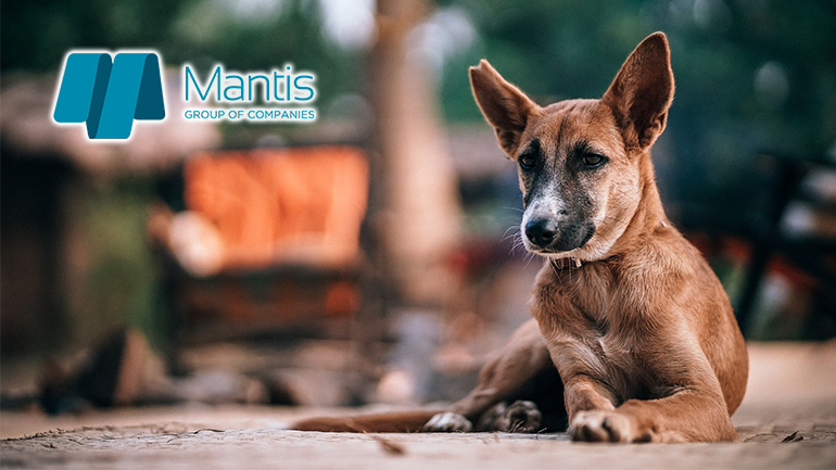 Ο Όμιλος Εταιρειών Mantis και η Mars φροντίζουν για την αστική πανίδα