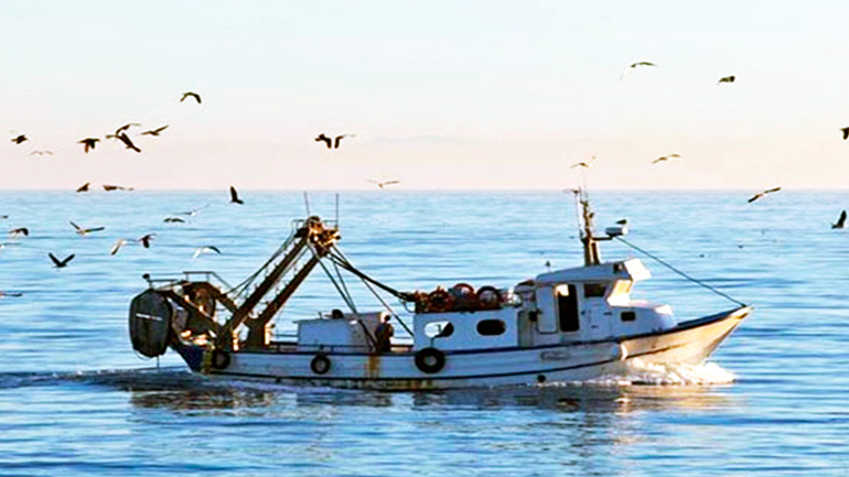 Γερμανική νάρκη «ψάρεψε» καΐκι στη Θεσσαλονίκη – Επιχείρηση για την εξουδετέρωση της