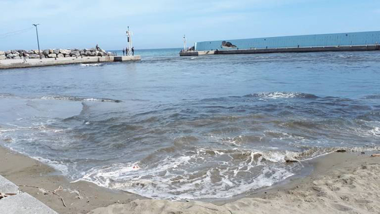 Σε ετοιμότητα οι αρχές των Χανίων για πιθανό τσουνάμι λόγω του ισχυρού σεισμού νότια της Κρήτης