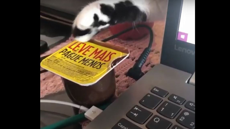 Ύπουλος κλέφτης…