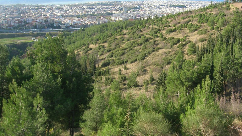 Θεσσαλονίκη: Επιτρέπεται η κυκλοφορία στο δάσος του Σέιχ Σου και το δάσος του Χορτιάτη