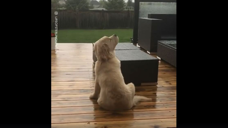 Απολαμβάνοντας τη βροχή