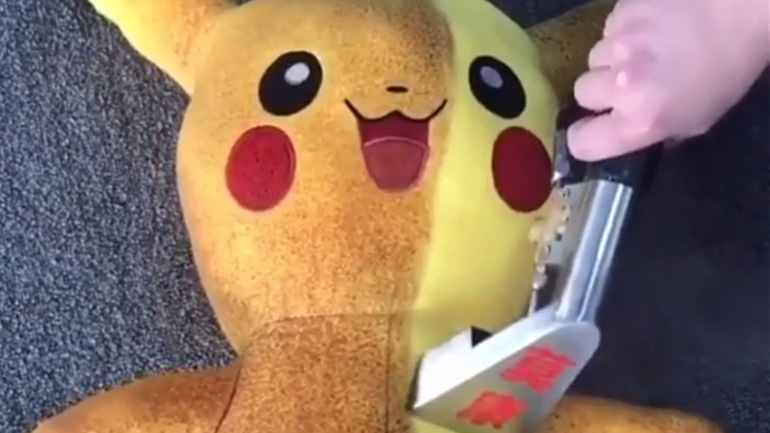 Καθαρίζοντας ένα Pokemon