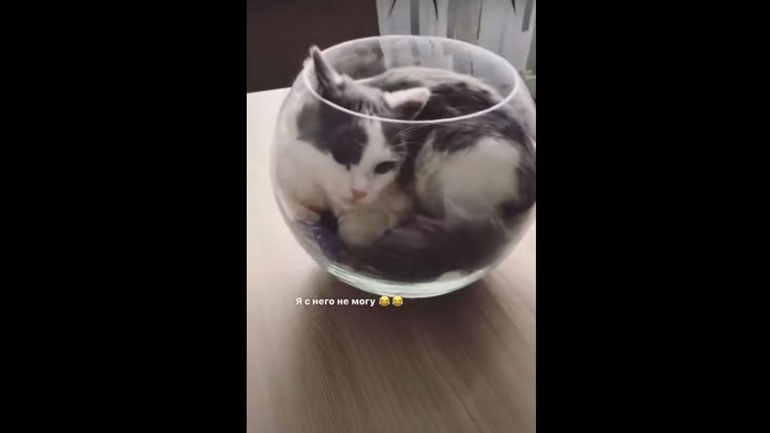 «Όχι, δεν θα φας άλλα γλυκά»