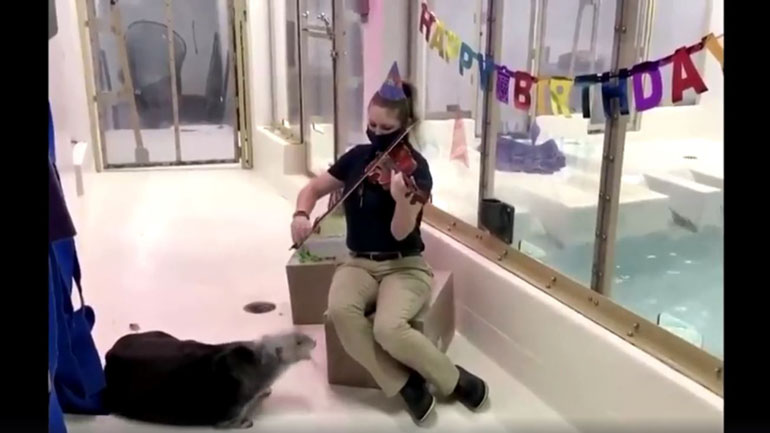 Ενυδρίδα γιορτάζει τα γενέθλιά της με λιχουδιές και βιολί