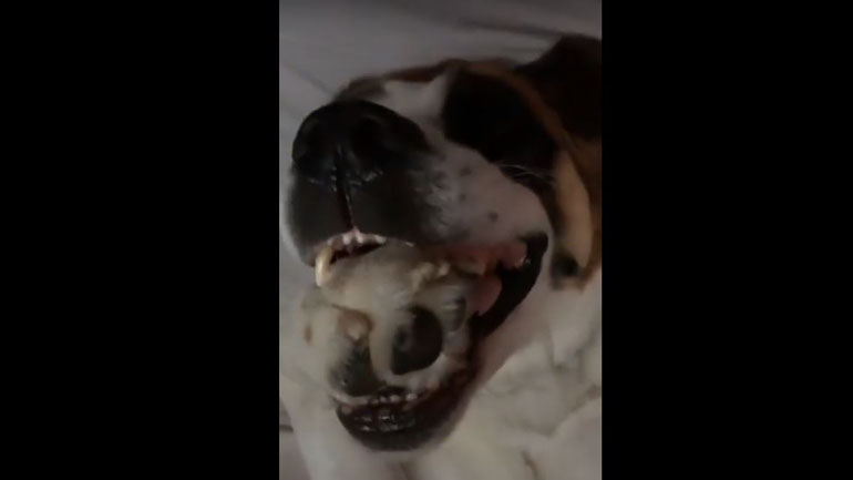 «Σε παρακαλώ, πάμε μια βόλτα»