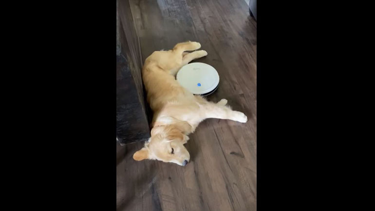 «Μην ενοχλείτε, προσπαθώ να κοιμηθώ»