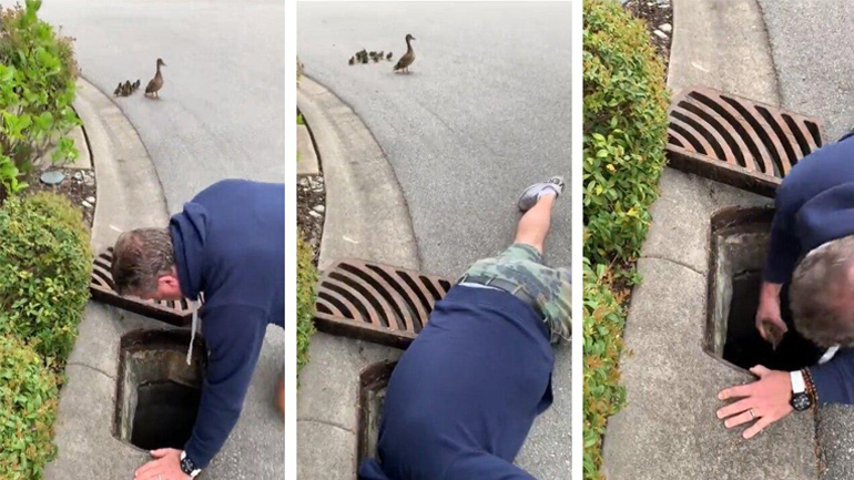 Άνδρας σώζει παπάκια που έπεσαν σε φρεάτιο