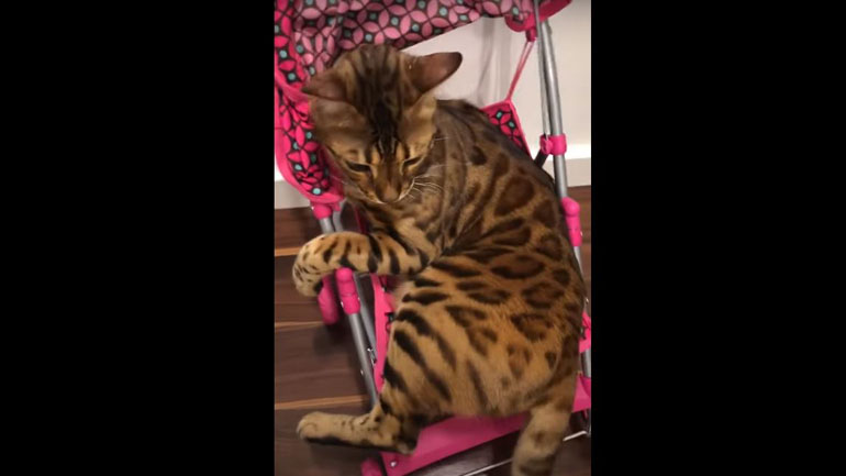 Έτοιμοι για βόλτα!