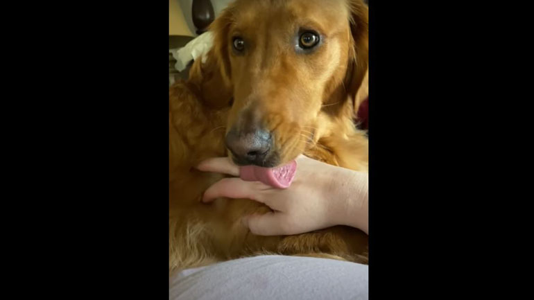 Όταν ο εγκέφαλος σταματάει να δουλεύει