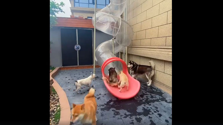 Ώρα για τσουλήθρα!