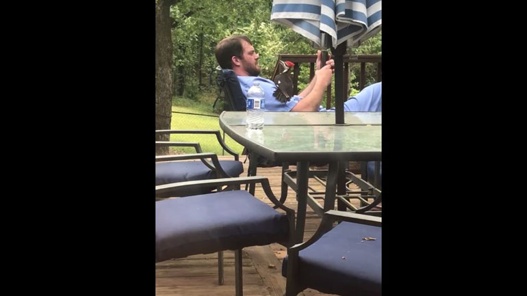 Πιάνοντας φιλίες με έναν δρυοκολάπτη