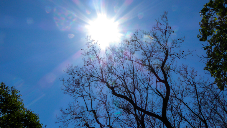 Ο καιρός σήμερα