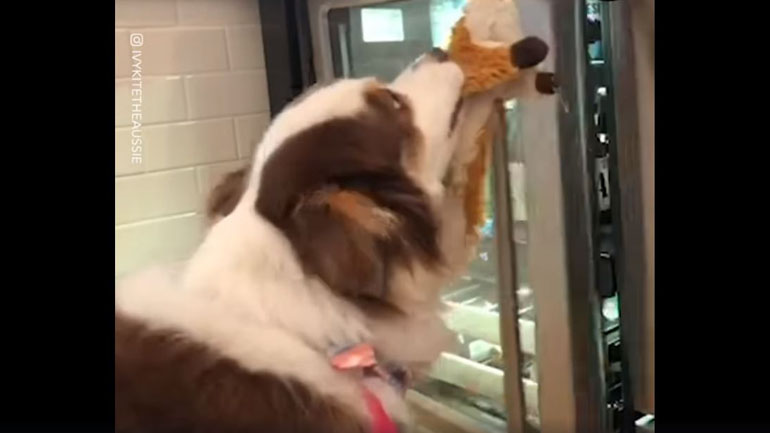 Ο καλύτερος μπάρμαν όλων των εποχών!