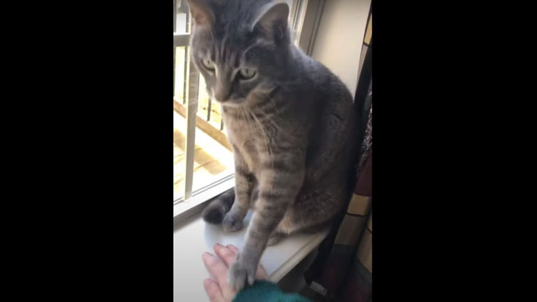 «Όχι, δεν θέλω χάδια»