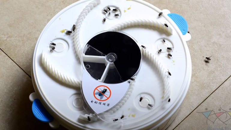 Aποτελεσματική παγίδα για μύγες