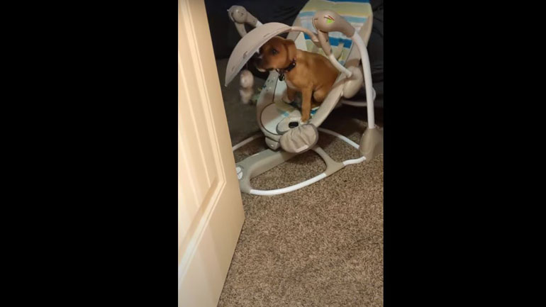 Ένα καρεκλάκι για δύο…