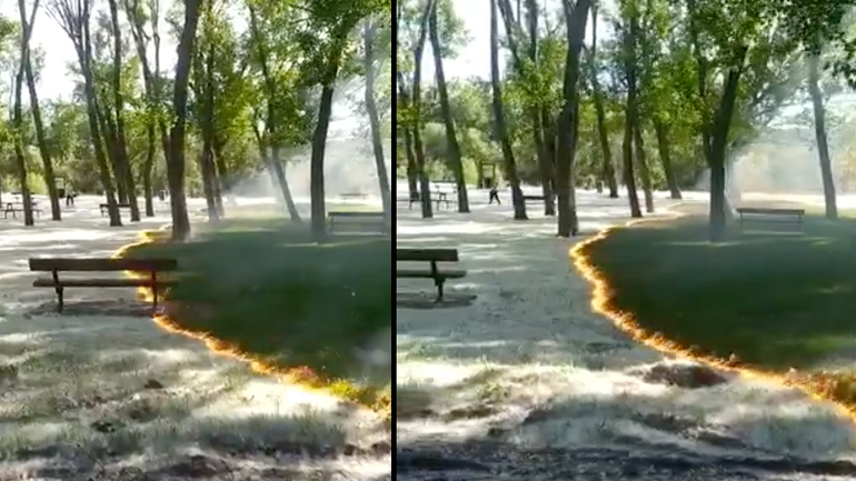 Φωτιά σε γύρη