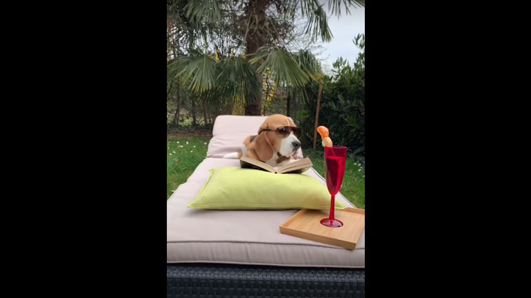 «Μη διακόπτετε, διαβάζω»