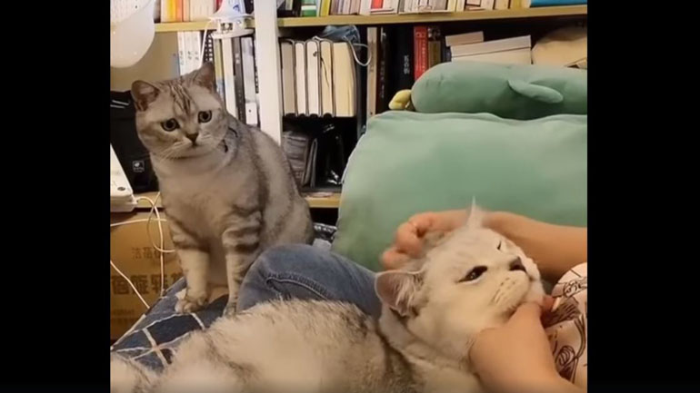 Η απόλυτη προδοσία