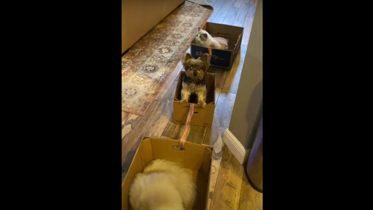 Κρατώντας τις απαραίτητες αποστάσεις ακόμα και στη βόλτα