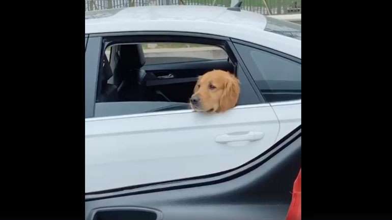 Μια «χυλόπιτα» χειρότερη από όλες τις άλλες