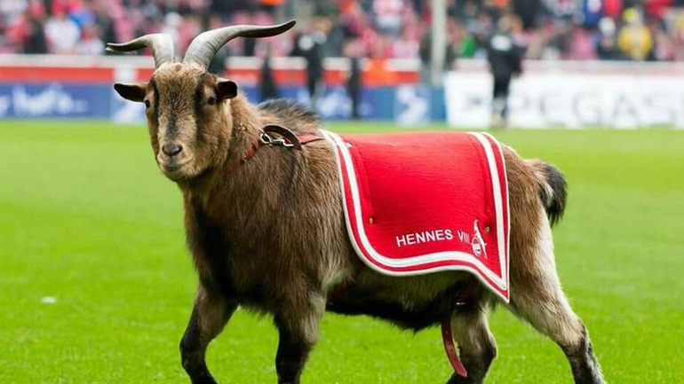 Γερμανία: «Θύμα» του κορωνοϊού και η… μασκότ της Κολωνίας Γερμανία: «Θύμα» του κορωνοϊού και η… μασκότ της Κολωνίας