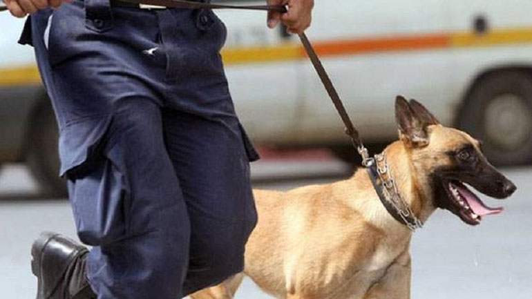 Σαμοθράκη: Αστυνομικός σκύλος ξετρύπωσε ναρκωτικά από σπίτι