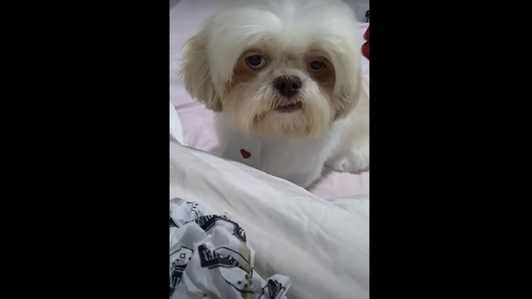 «Τι θα γίνει; Θα κοιμηθούμε;»