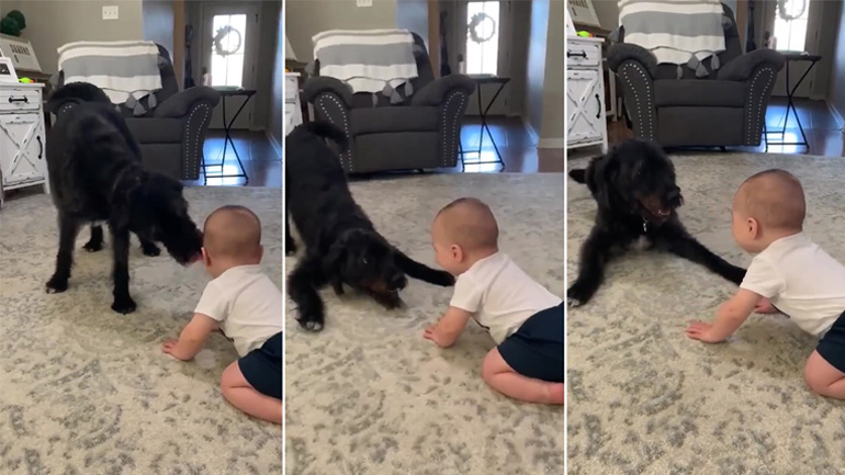 Μωρό ξεκαρδίζεται με τον σκύλο