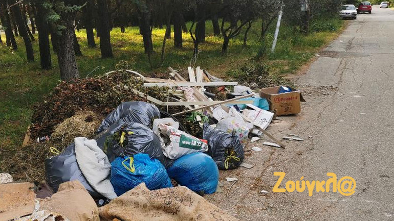 Η αθλιότητα και το σκουπιδαριό στους δρόμους του Δήμου Διονύσου