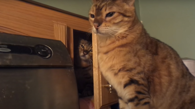 Προσοχή: O Lucifur παραμονεύει! Προσοχή: O Lucifur παραμονεύει!