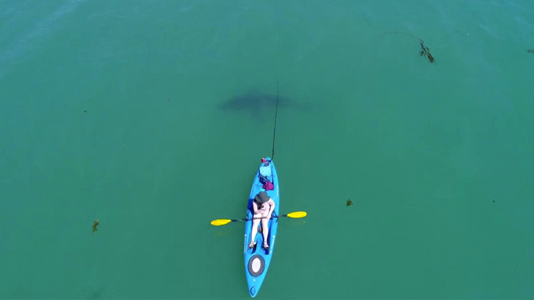 Έκανε καγιάκ και ο λευκός καρχαρίας παραμόνευε