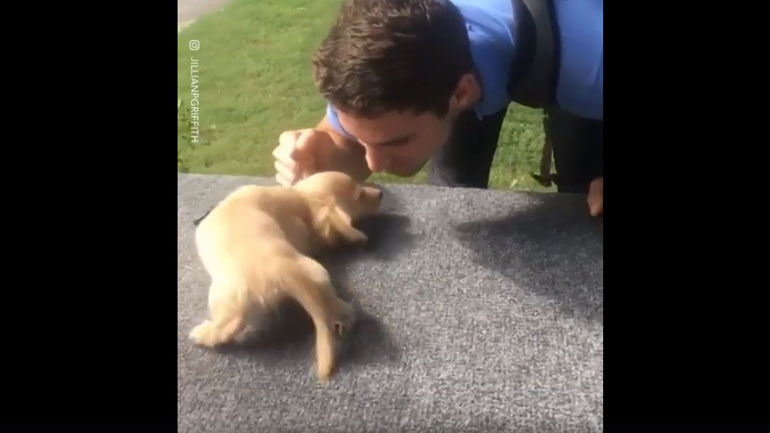 Το πιο όμορφο καλωσόρισμα