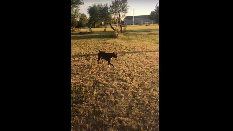 Όταν υπερεκτιμάς τις δυνατότητές σου