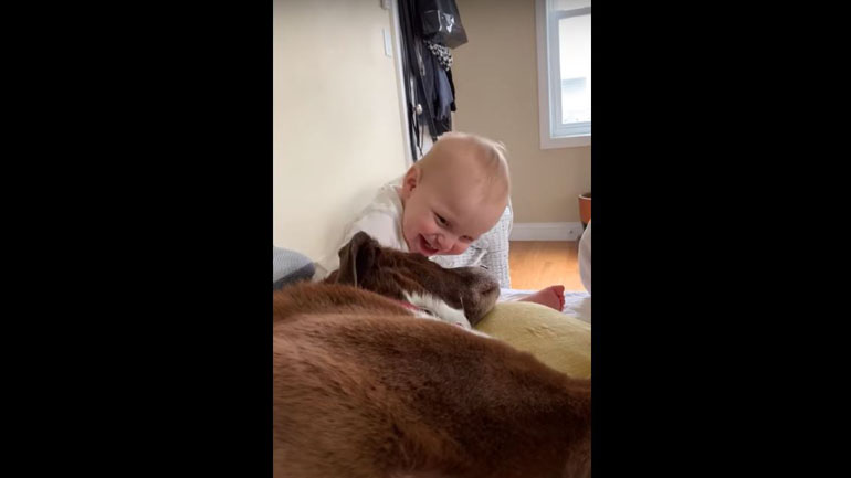 Πιτσιρικάς χάνει την ισορροπία του από τα γέλια