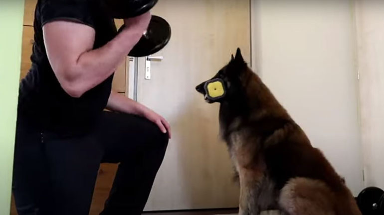 Άνδρας κάνει γυμναστική με τη βοήθεια του σκύλου του