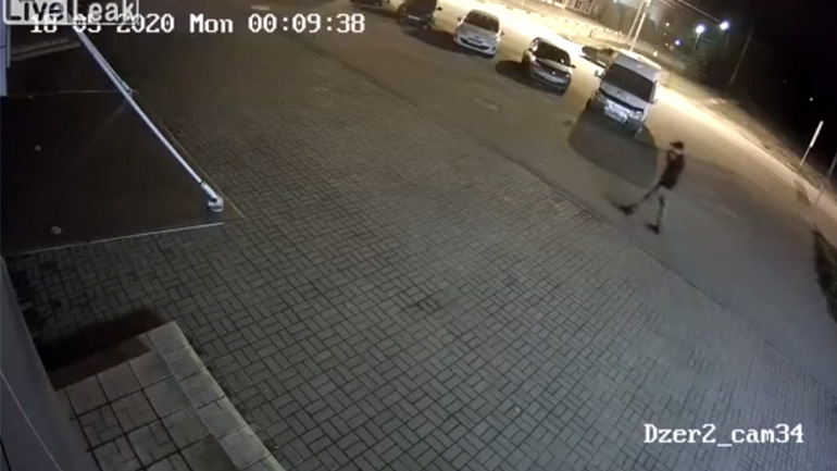 Aρκούδα επιτίθεται σε άνδρα