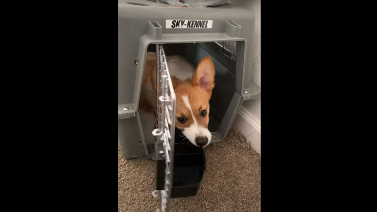 «Εγώ θα μείνω σπίτι!»