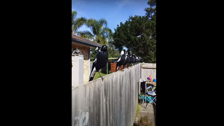 Μια αλλιώτικη χορωδία