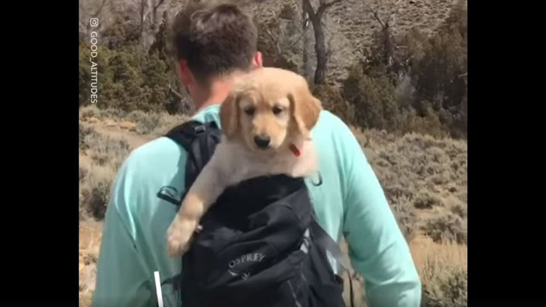 Ο πιο αξιαγάπητος πεζοπόρος