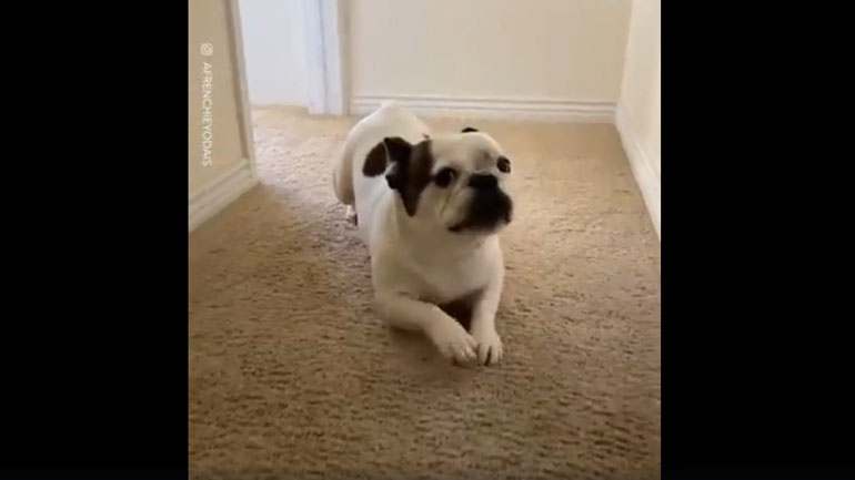 Όταν βαριέσαι μέχρι και να περπατήσεις…