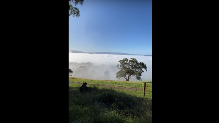 Αυστραλία: Ομίχλη κάλυψε ολόκληρη κοιλάδα